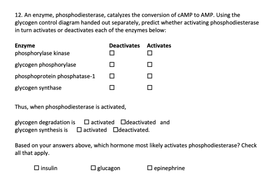 12. An enzyme, phosphodiesterase, catalyzes the conversion of CAMP to AMP. Using the glycogen control diagram handed out sepa
