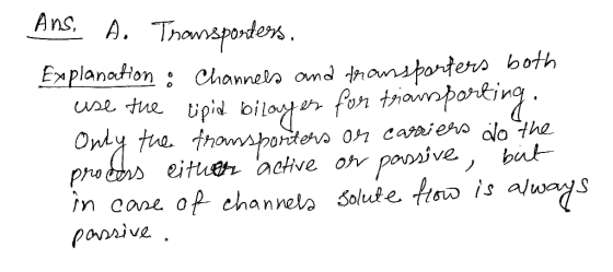 Ans. A. Transpordens Explanation : Channels and transporters both use the tipid bilayer for transporting. Only the transporte