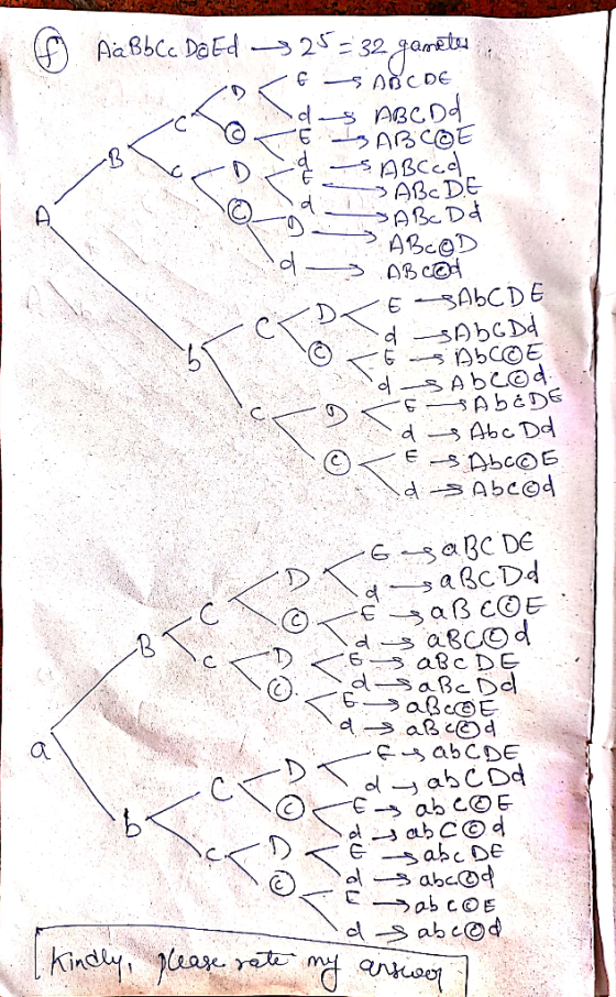 6 Aa Bb Cc. Do Ed 25 = 32 ganetes, SABCDE das ABC Dd උp3ළE S ВВсе ABC DE o Joobo ld SABCD d 9 -> ABC@P - 3 OBC@d DKE SALCDE l