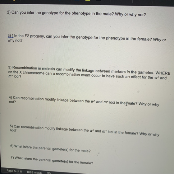 2) Can you infer the genotype for the phenotype in the male? Why or why not? 3) In the F2 progeny, can you infer the genotype
