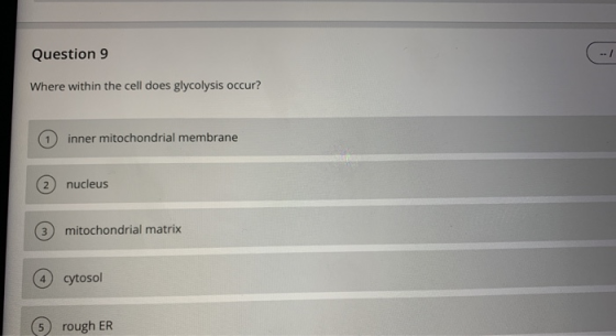 Question 9 Where within the cell does glycolysis occur? 1 inner mitochondrial membrane 2 nucleus 3 mitochondrial matrix 4 cyt