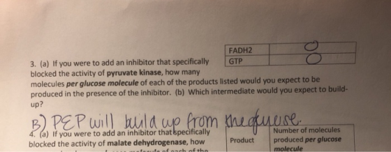 FADH2 3. (a) If you were to add an inhibitor that specifically GTP blocked the activity of pyruvate kinase, how many molecule