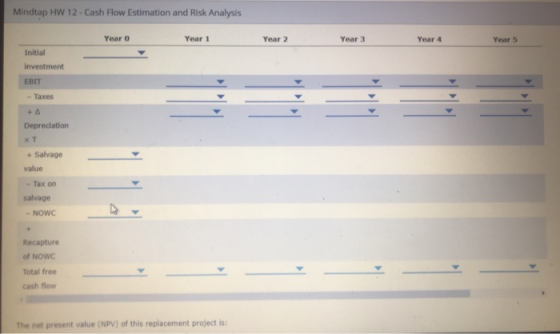 Mindtap HW 12 - Cash Flow Estimation and Risk Analysis Year o Year 1 Year 2 Year 3 Year 4 Year 5 Initial Investment EBIT - Ta