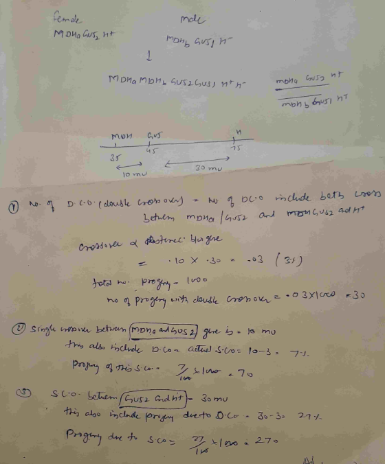 Femde Mona Gur, hit male mong Gustin Mona MDHb suszguss nt n mona Guso nt us, ntga mons bourl ht Мои .. Gus 21 . 45 35 E 30mu