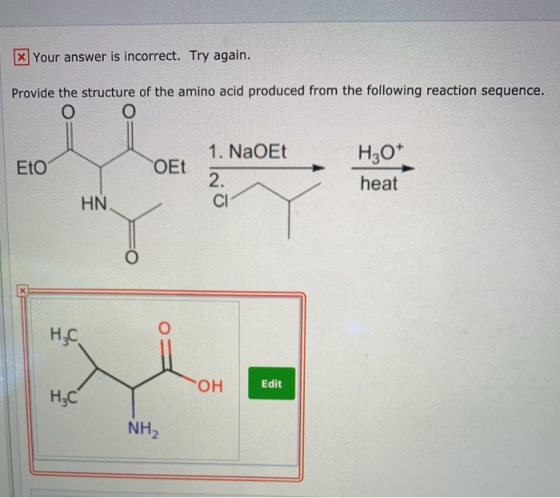 x Your answer is incorrect. Try again. Provide the structure of the amino acid produced from the following reaction sequence.
