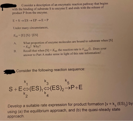 Consider a description of an enzymatic reaction pathway that begins with the binding of substrate S to enzyme E and ends with