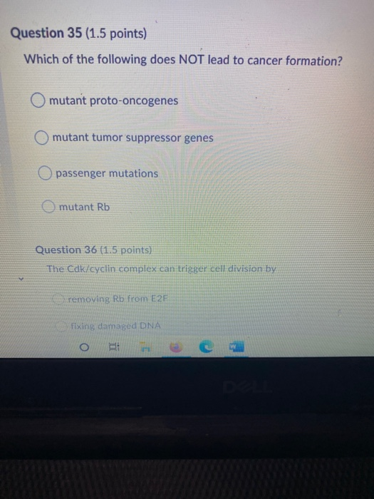 Question 35 (1.5 points) Which of the following does NOT lead to cancer formation? mutant proto-oncogenes mutant tumor suppre