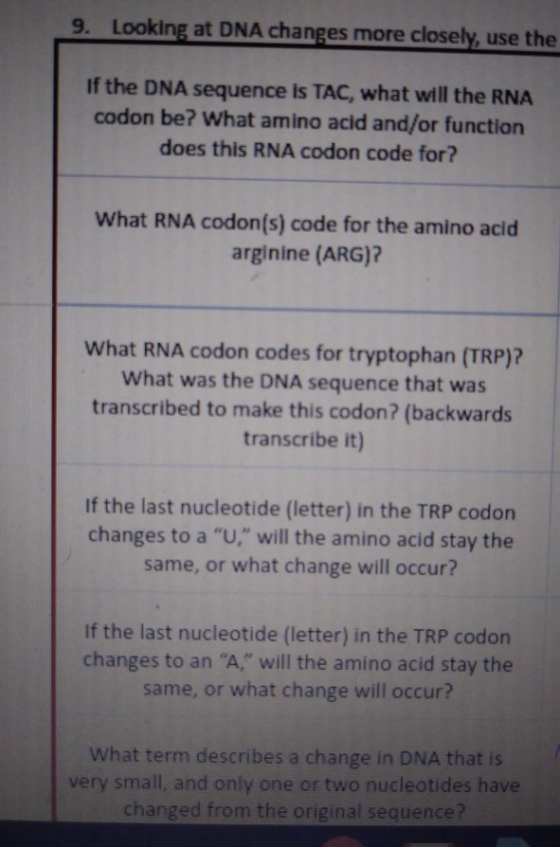 9. Looking at DNA changes more closely, use the If the DNA sequence is TAC, what will the RNA codon be? What amino acid and/o