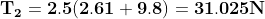 T2 2.5(2.61 +9.8) 31.025N