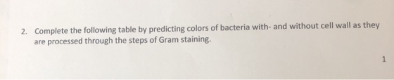 2. Complete the following table by predicting colors of bacteria with- and without cell wall as they are processed through th