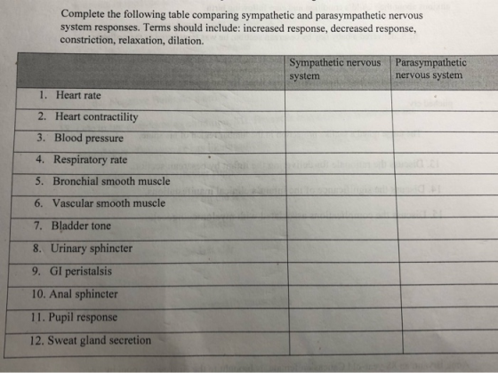 Complete the following table comparing sympathetic and parasympathetic nervous system responses. Terms should include: increa
