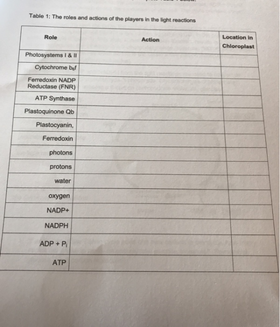 Table 1: The roles and actions of the players in the light reactions Role Action Location in Chloroplast Photosystems I & II