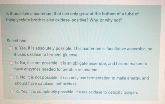 Is it possible a bacterium that can only grow at the bottom of a tube of thioglycolate broth is also oxidase-positive? Why, o