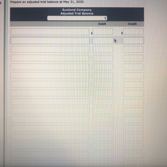 Prepare an adjusted trial balance at May 31, 2020. Sunland Company Adjusted Trial Balance Debit