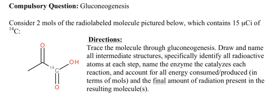 Compulsory Question: Gluconeogenesis Consider 2 mols of the radiolabeled molecule pictured below, which contains 15 uCi of 14