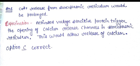 Ans cadt release from Sarcoplasmic vieticulum woulde be prolonged. Expiqination - Activated voltage sensitive protein trigger