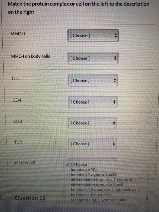 Match the protein complex or cell on the left to the description on the right MHC-IL [Choose] MHC-I on body cells [ Choose] C