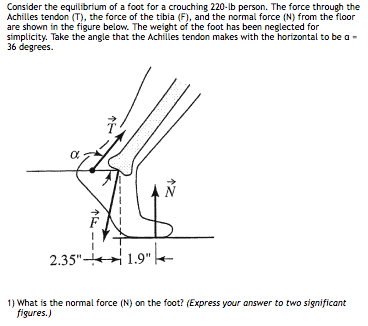 Consider the equilibrium of a foot for a crouching 220-lb person. The force through the Achilles tendon (T), the force of the