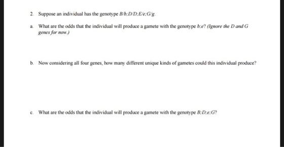 2. Suppose an individual has the genotype B/b:D/D:Ele:G/g. a. What are the odds that the individual will produce a gamete wit
