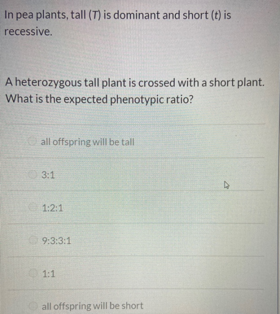 In pea plants, tall (T) is dominant and short (t) is recessive. A heterozygous tall plant is crossed with a short plant. What