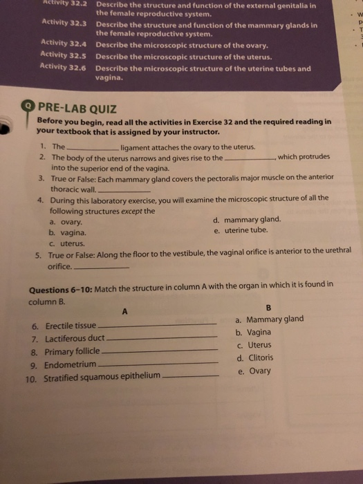 Activity 32.2 . W Activity 32.3 Activity 32.4 Activity 32.5 Activity 32.6 Describe the structure and function of the external