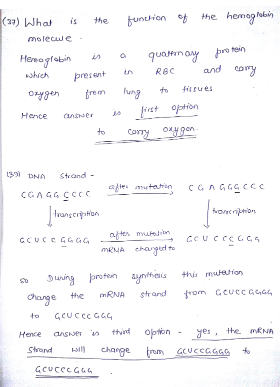 on the hemog lobin 3) WWha i the undionhe hemog olecu e pro tein Hemogfobin Ca Un RBC an whichpres oxygen trem lung t、 tissu Hence CSwer en to COSS (39) dNA Stand - CGA GG CCCC ranscripton mRNA c-ae Duing protein sy chage the mRNA frand from Gcucc GoG, So swer thirdOptior yes the MRNA change Shrond ksl chngeom CCUCCGGs cuCC