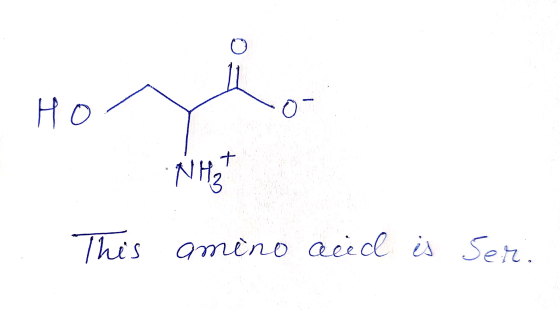 Нод NHT This amino acid is Ser.
