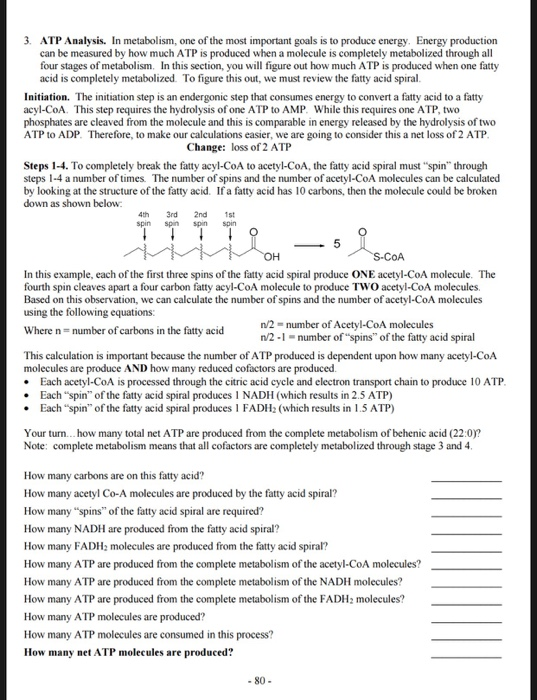 . ATP Analysis. In metabolism, one of the most important goals is to produce energy. Energy production can be measured by how