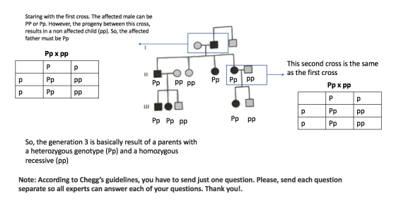 Staring with the first cross. The affected male can be PP or Pp. However, the progeny between this cross, results in a non af