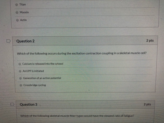 Titan Myosin Act Question 2 2 pts Which of the following occurs during the excitation contraction coupling in a skeletal musc