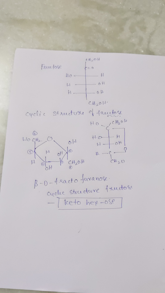eH,OH Frece fose Ho. H OH H o H CHLOH cyclic structure of fructose Ho. CH₂OH HO CH₂ Ho H OH H O OH CH, OH Сн, О OH B-D-fracto