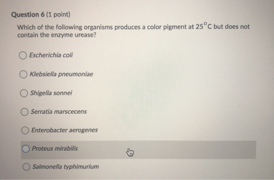 Question 6 (1 point) Which of the following organisms produces a color pigment at 25°C but does not contain the enzyme urease