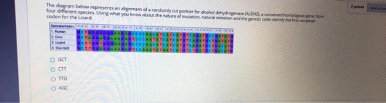 2 points The diagram below represents an alignment of a randomly cut portion for alcohol dehydrogenase (ALDH2). conserved hom