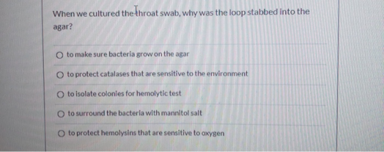 When we cultured the throat swab, why was the loop stabbed into the agar? to make sure bacteria grow on the agar to protect c