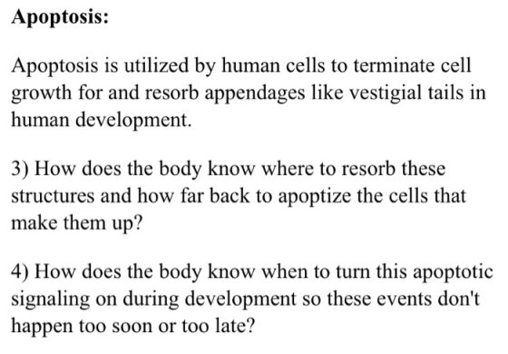 Apoptosis: Apoptosis is utilized by human cells to terminate cell growth for and resorb appendages like vestigial tails in hu