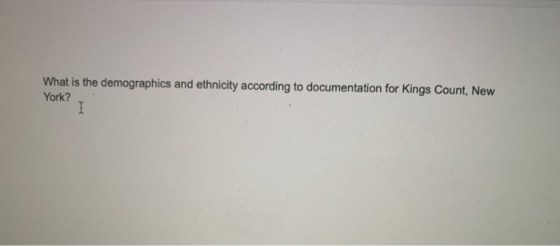 What is the demographics and ethnicity according to documentation for Kings Count, New York?