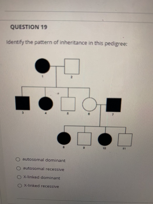 QUESTION 19 Identify the pattern of inheritance in this pedigree: 10 autosomal dominant autosomal recessive X-linked dominant