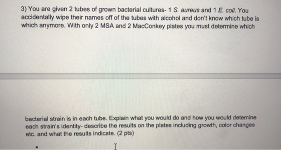 3) You are given 2 tubes of grown bacterial cultures-1 S. aureus and 1 E. coli. You accidentally wipe their names off of the