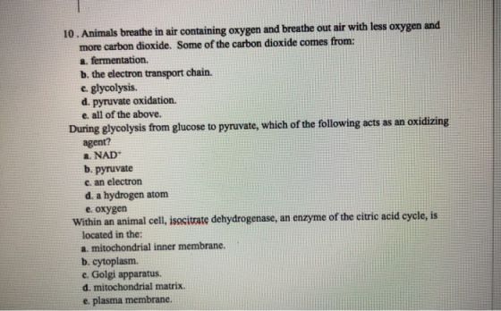 10. Animals breathe in air containing oxygen and breathe out air with less oxygen and more carbon dioxide. Some of the carbon