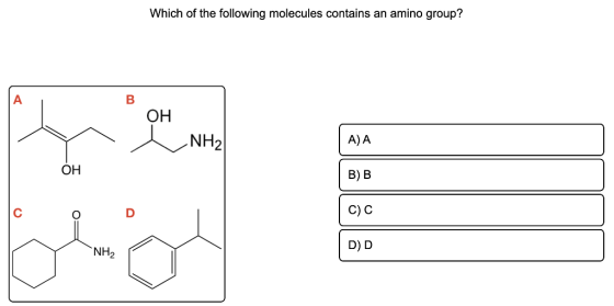 Which of the following molecules contains an amino group? A B OH NH2 A) A OH B) B C) C NH2 DD