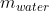 m_{water}