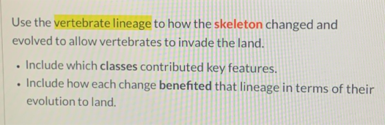 Use the vertebrate lineage to how the skeleton changed and evolved to allow vertebrates to invade the land. . Include which c
