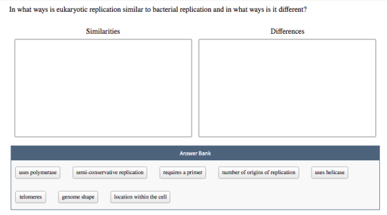 In what ways is eukaryotic replication similar to bacterial replication and in what ways is it different? Similarities Differ