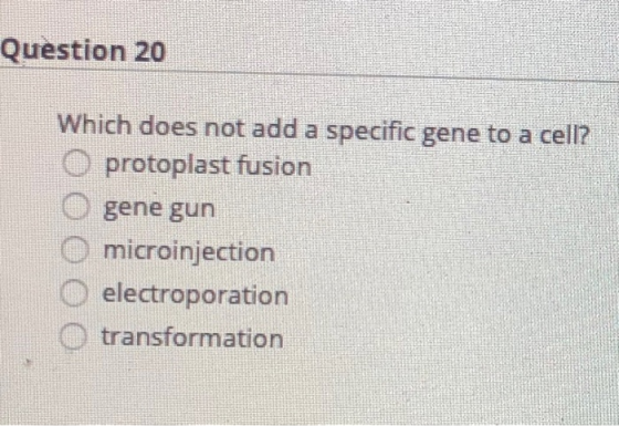 Question 20 Which does not add a specific gene to a cell? O protoplast fusion gene gun O microinjection O electroporation O t