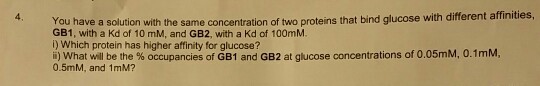 4. You have a solution with the same concentration of two proteins that bind glucose with different affinities GB1, with a Kd of 10 mM, and GB2, with a Kd of 100mM. i) Which protein has higher affinity for glucose? i) what will be the % occupancies of GB1 and GB2 at glucose concentrations of 0.05ml, 0.1 mM. 0.5mM, and 1mM?