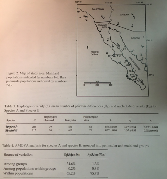 120 W 110 W CALIFORNIA ARIZONA COLORADO SONORA foon PACIFIC OCEAN SEA OF CORTEZ Do -25°N Figure 2. Map of study area. Mainlan