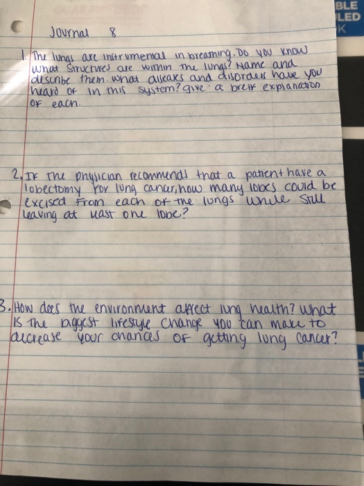 Journal 8 The lungs are instrumental in breathing. Do you know what Structures are within the lungs? Name and describe them.