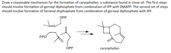 Draw a reasonable mechanism for the formation of caryophyllen, a substance found in clove oil. The first steps should involve formation of gernayl diphosphate from combination of IPP with DMAPP. The second set of steps should involve formation of farnesyl disphophate from combination of gernayl diphosphate with lPP. OPP PPO OPP caryophyllen