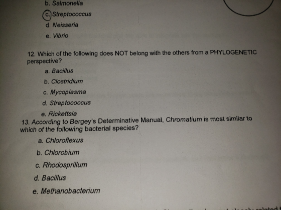 b. Salmonella C. Streptococcus d. Neisseria e. Vibrio 12. Which of the following does NOT belong with the others from a PHYLO
