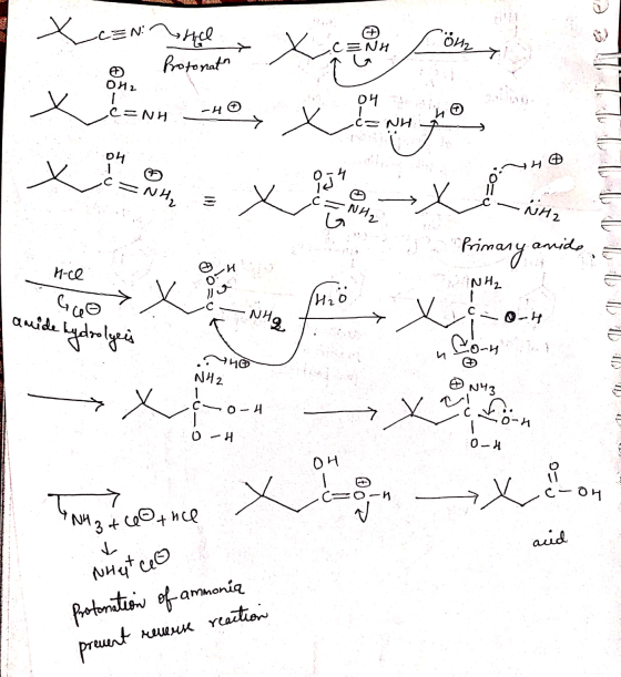 X cennel Protonath Önz > CENH T 042 I C=NH -Ho Xc che pour touto » X Х 04 14 NH₂ -NH2 NH2 Primary amido 0-4 ANH₂ H-ce GO 1H2